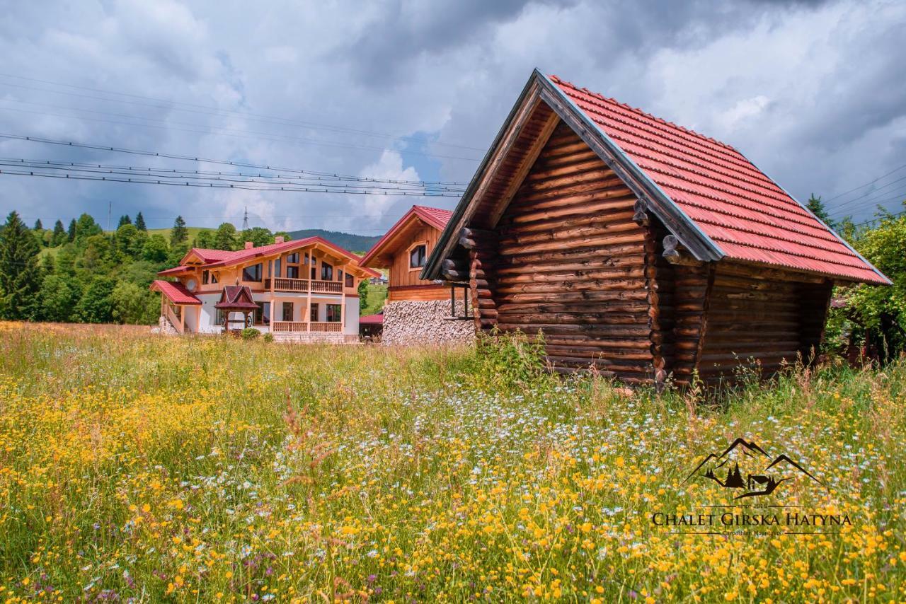 Apartments Chalet Girska Hatyna Vorokhta Bagian luar foto